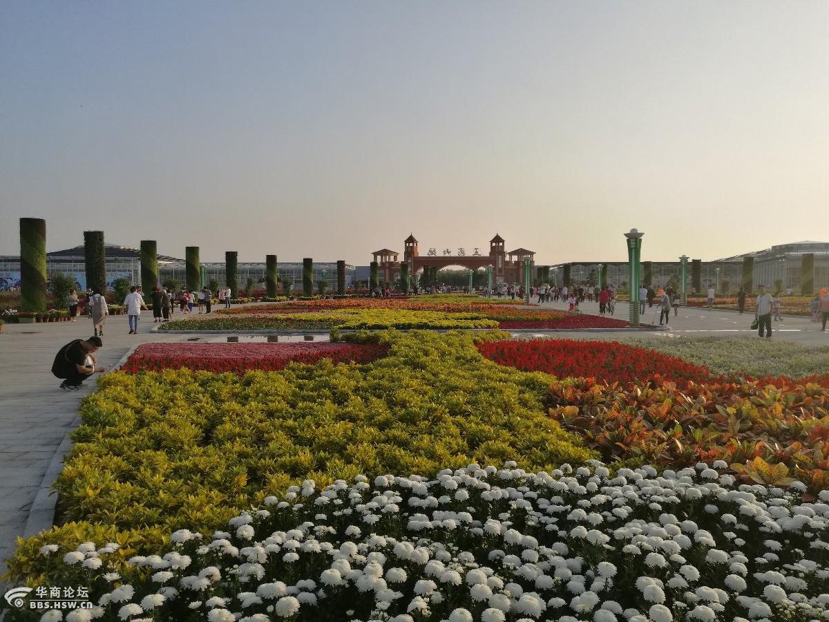 河南鄢陵县第十六届中原花木交易博览会博览园五彩大地随拍