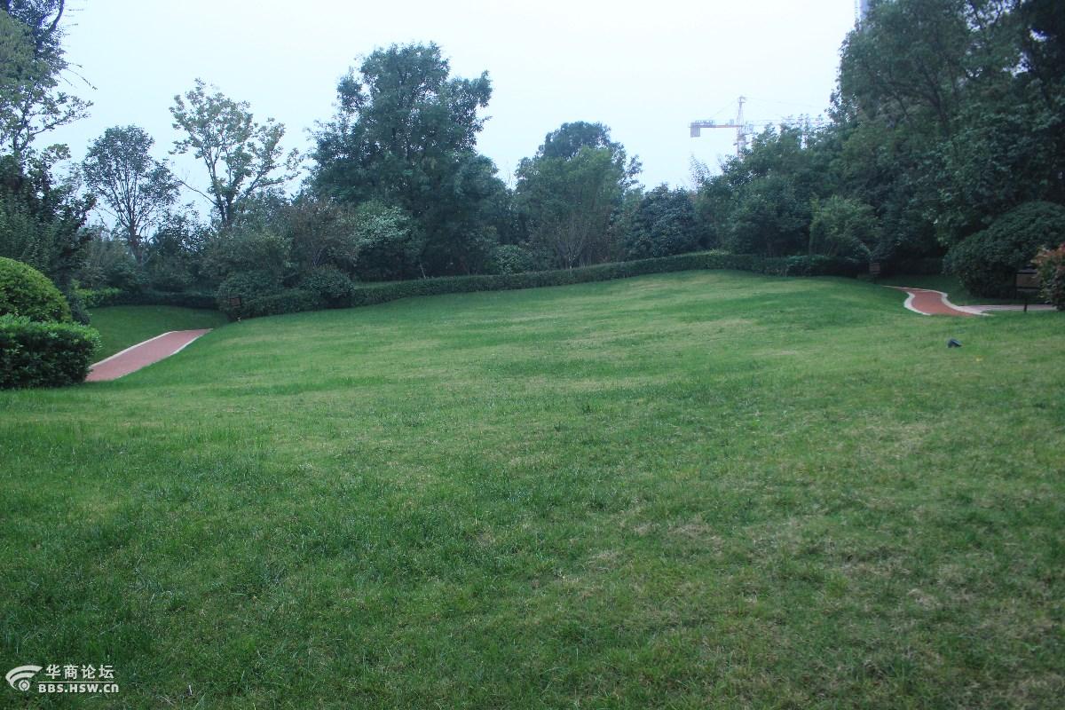 南三环马腾空桥附近的好风景