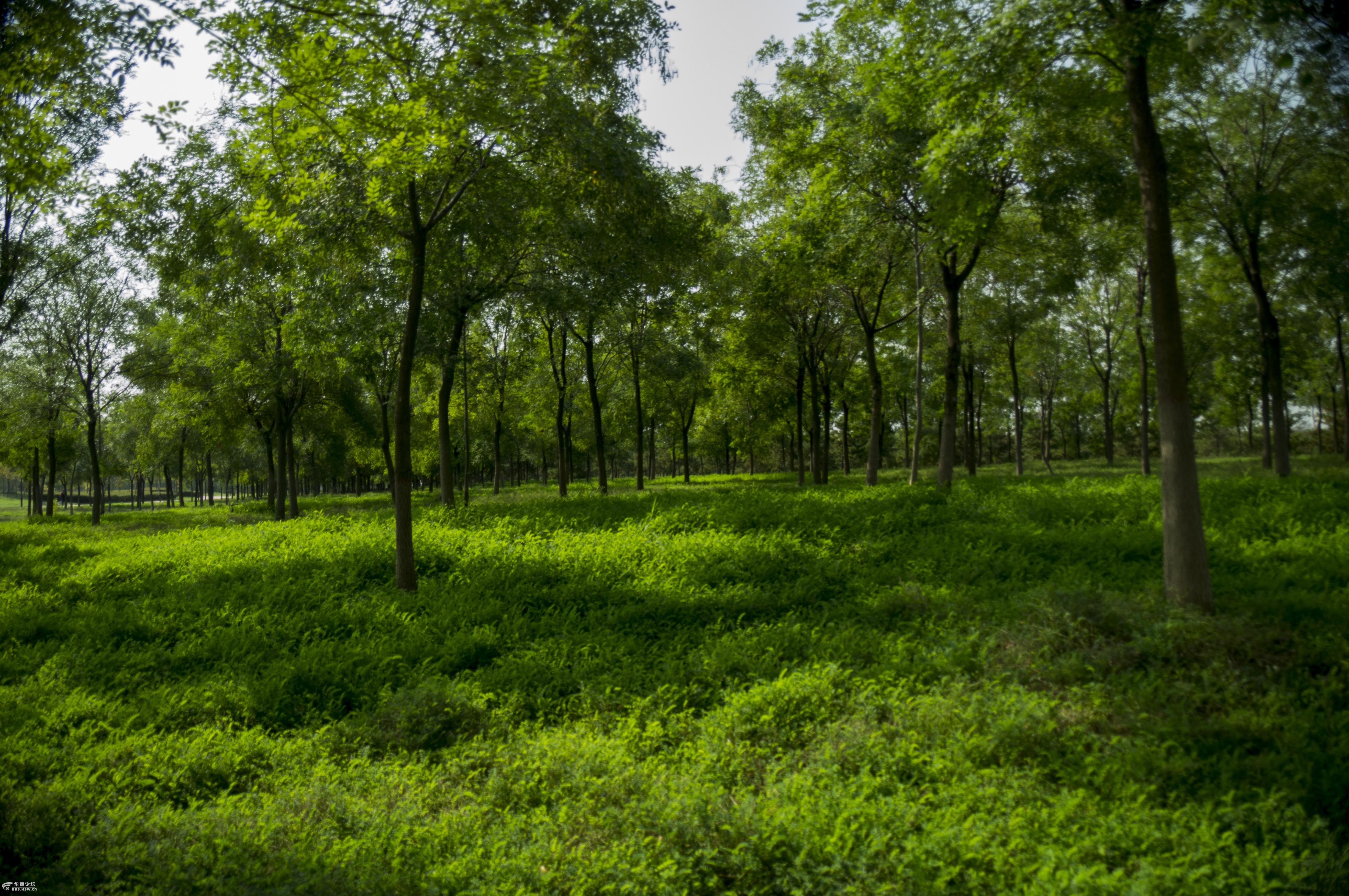 骑行西咸河堤路