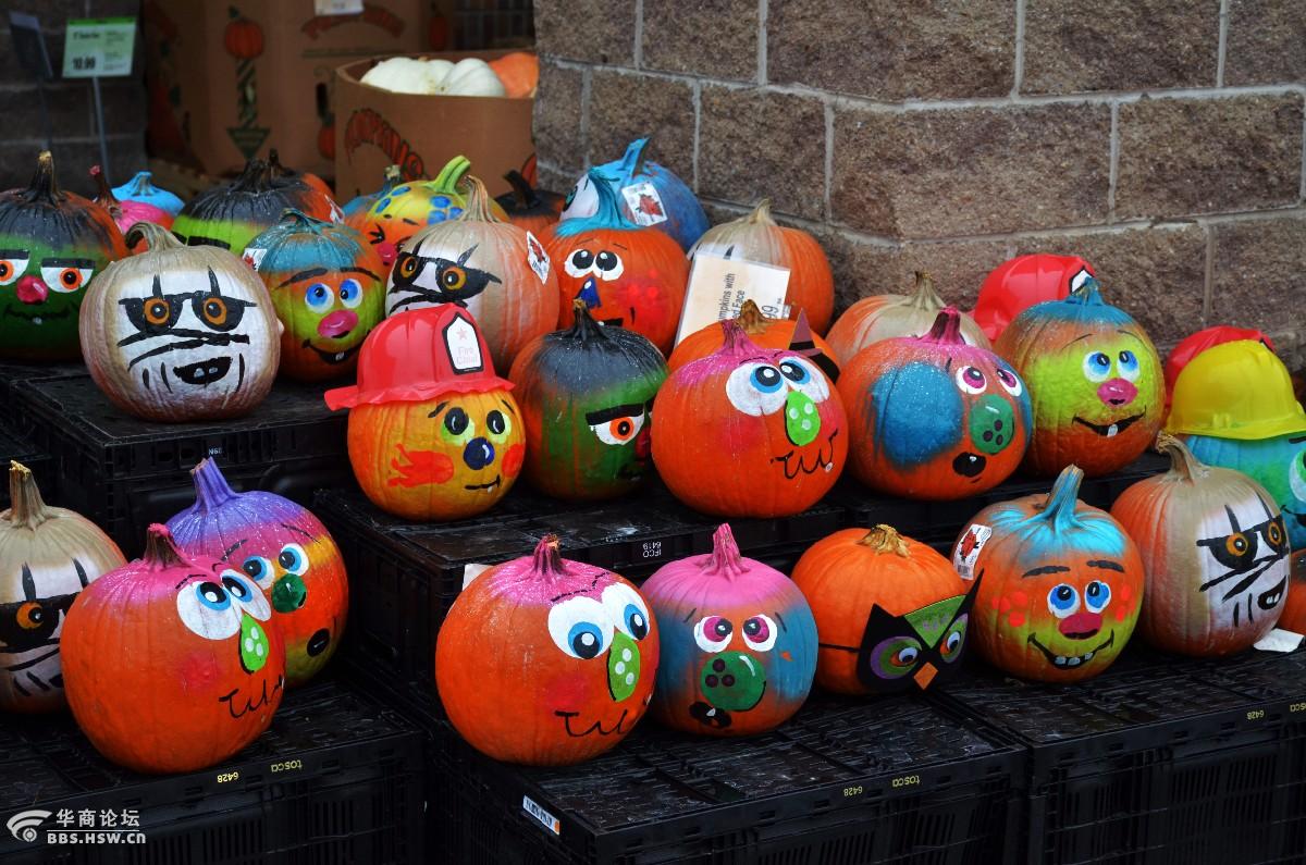 万圣节之前,南瓜成了市民和超市最火爆的物品.