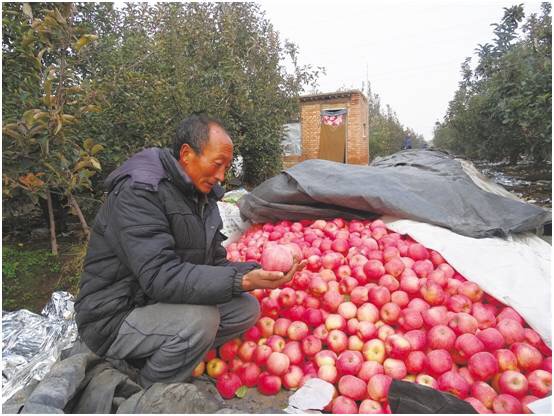 "心怀果农,爱心助销"——滞销果农信息公示