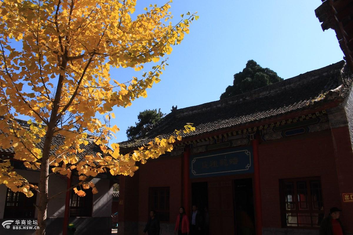 少华山你能不能不那么美?【潜龙寺】