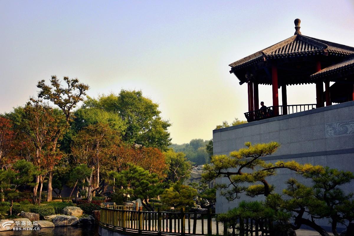 中国唐苑 一个满是盆栽的地方