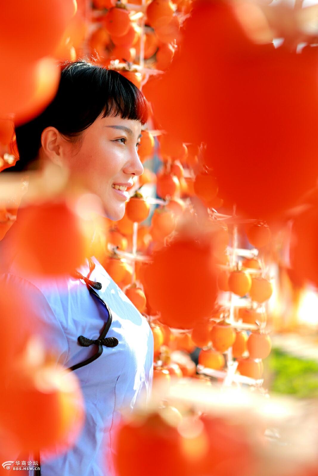 富平拍柿子红了美女特开心