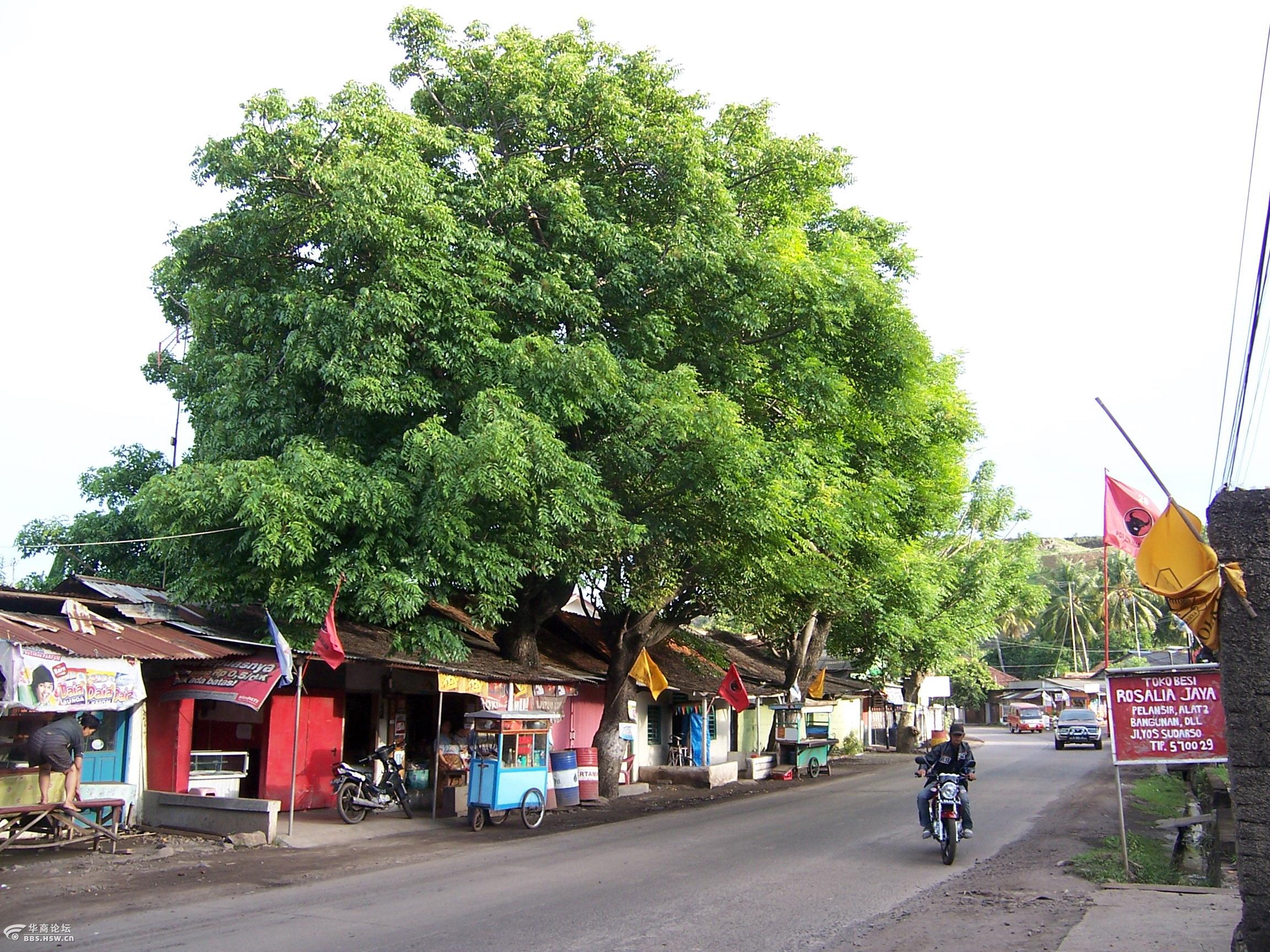 赴印度尼西亚工作见闻