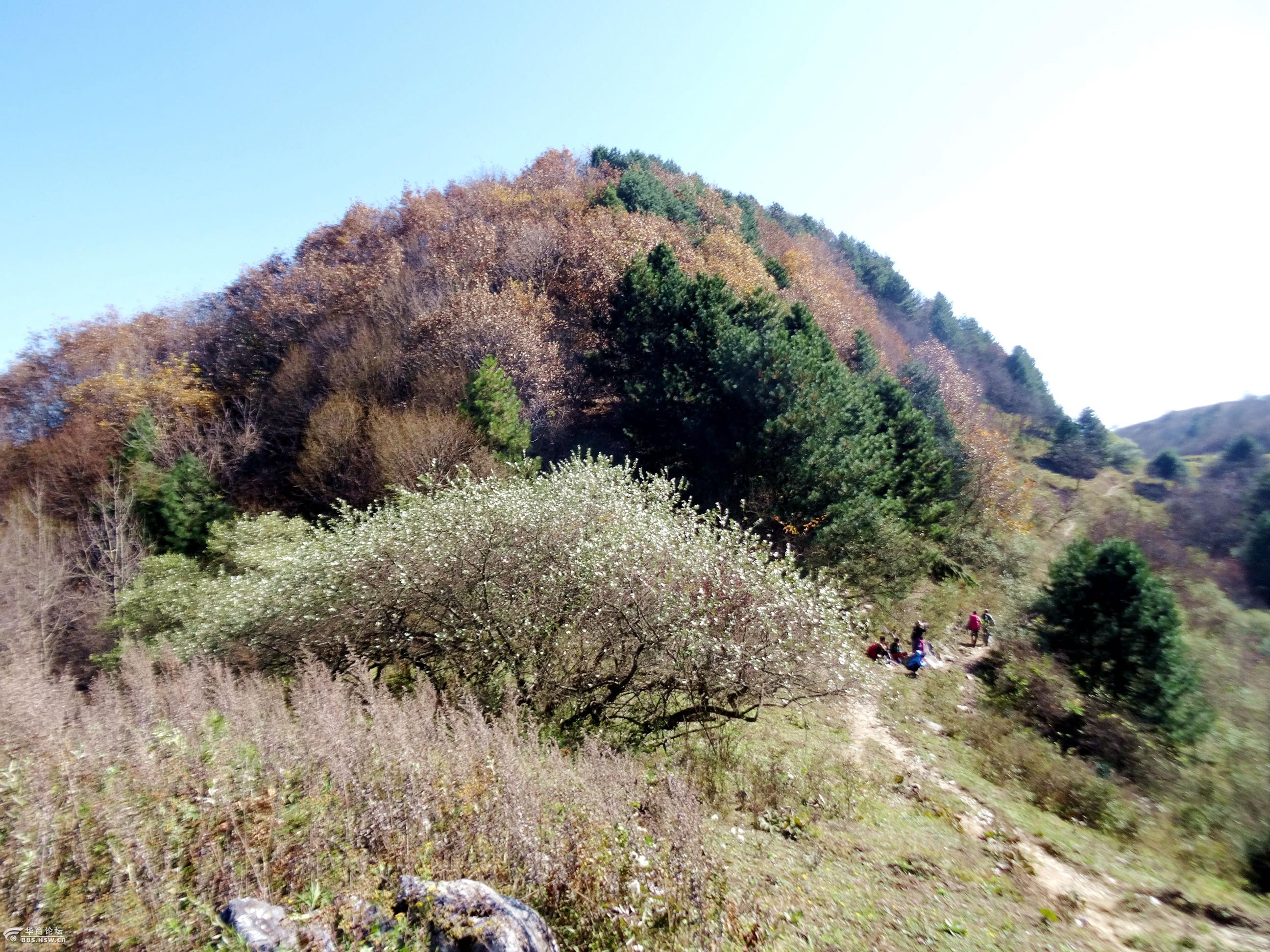 2016年11月5日随名旅户外穿越最美喀斯特地貌镇安北羊山