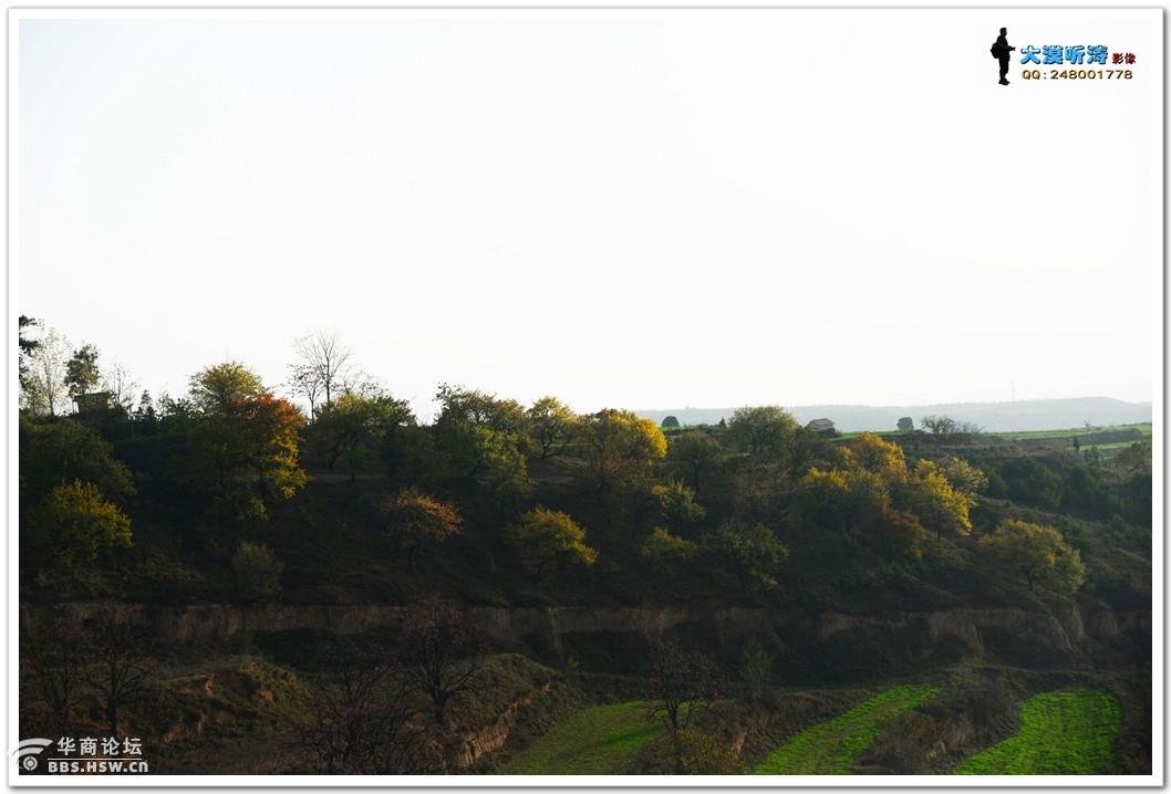 全民乱拍 乾陵脚下黄巢沟秋景图图酷模式 只看楼主