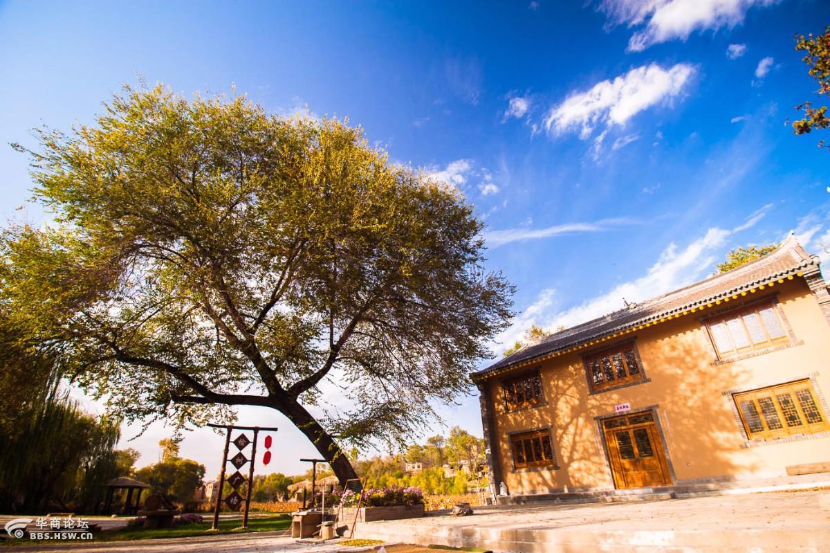 初冬暖阳下的棣花镇