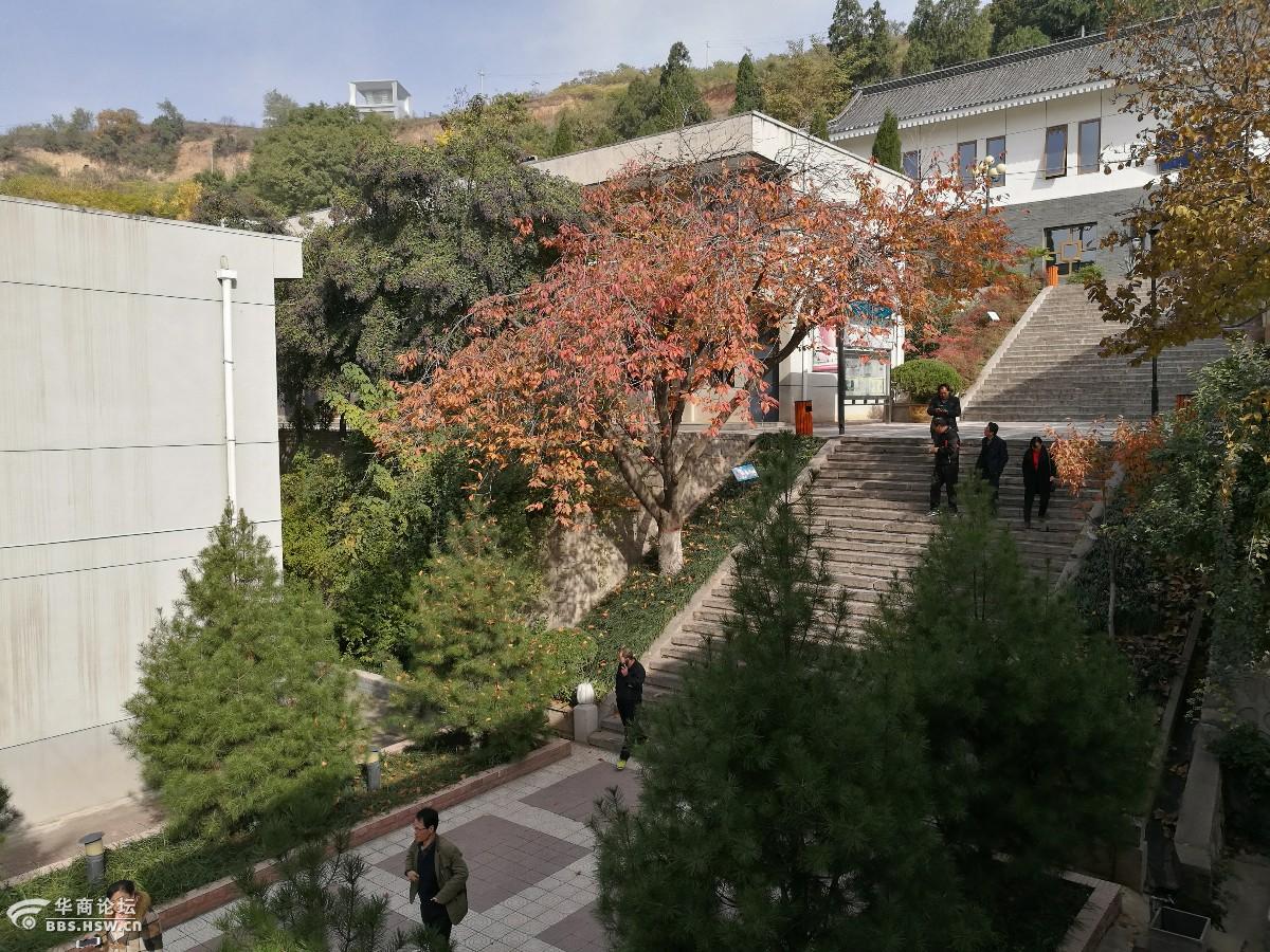 长安一中校园秋韵