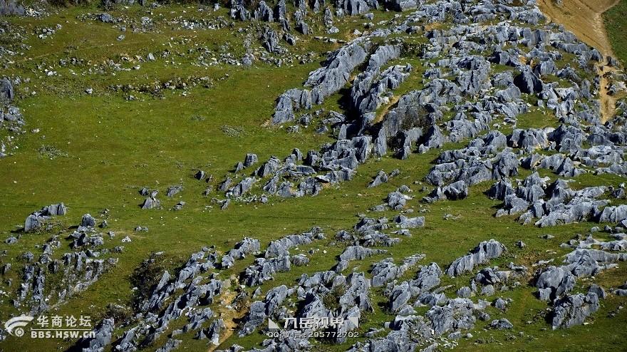 ◣九岳视界◥ 北羊山,深藏的喀斯特石芽群-游山玩水-华商论坛