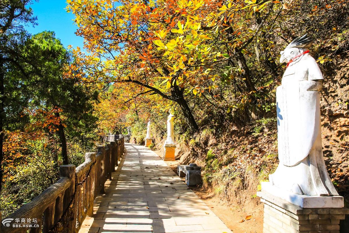 铜川照金大香山寺赏秋