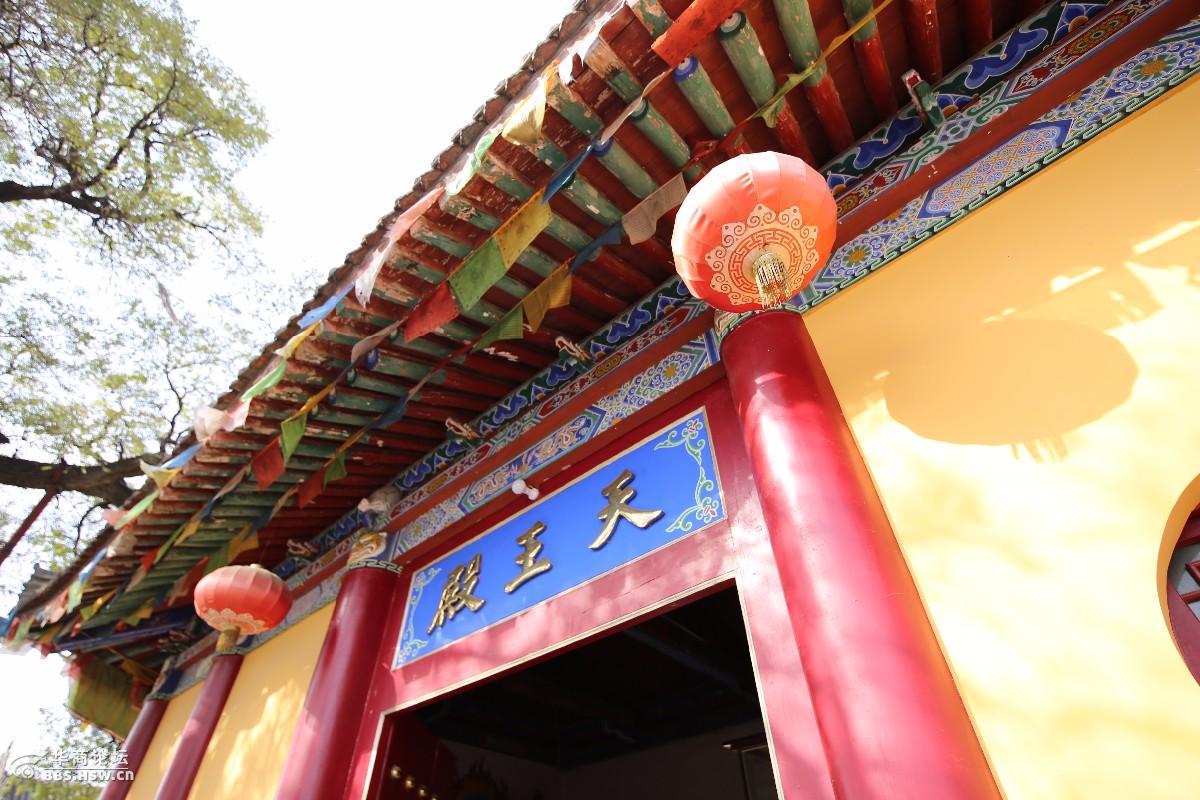 初探宝鸡金顶寺陆苍苍