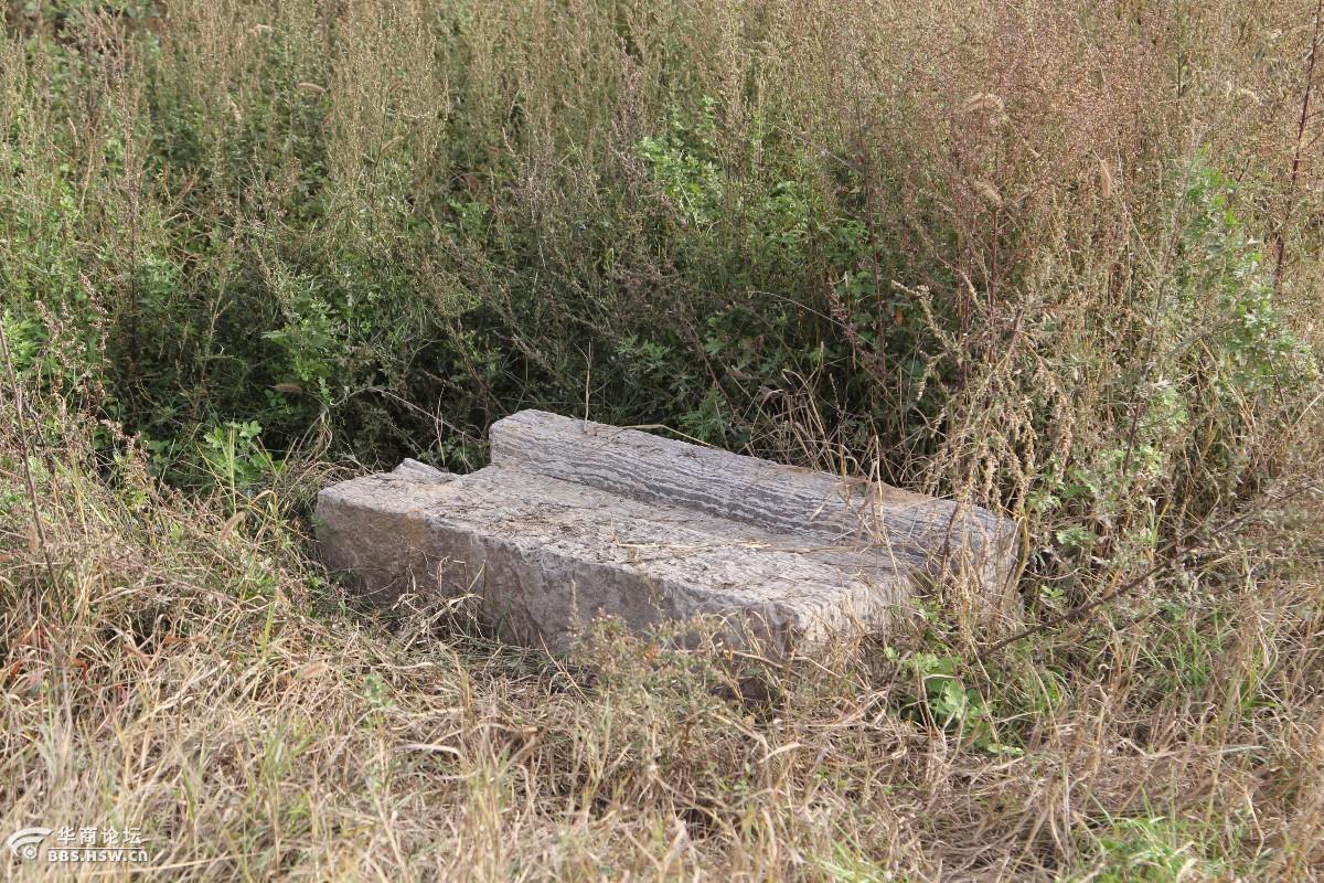 戚氏不幸不人豕过戚夫人冢
