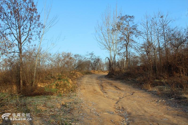 乡村山路玉米垛