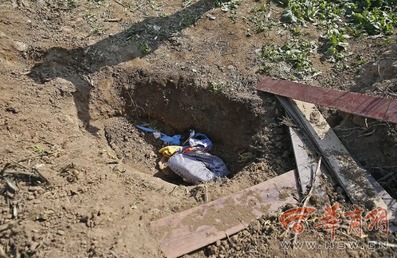 高陵菜地里发现男童尸体 原来是娃夭折家长埋尸
