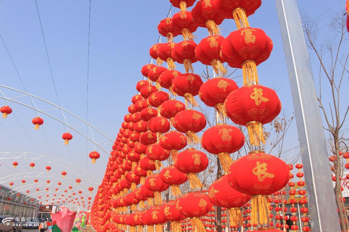 秦岭花世界花儿的世界真精彩