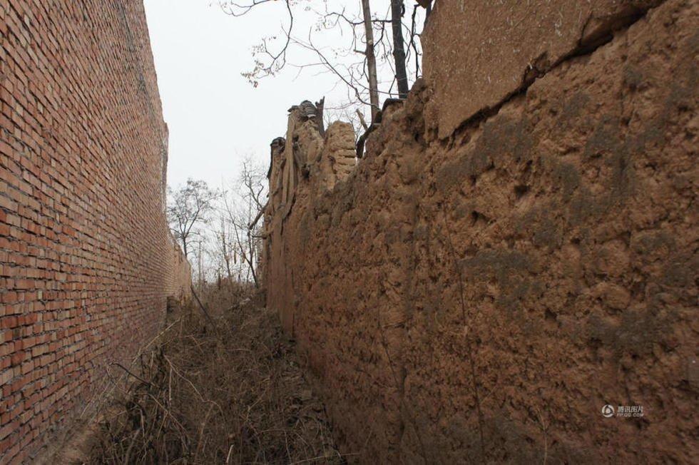 渭南"空心村"老房子20年无人居住 荒草丛生