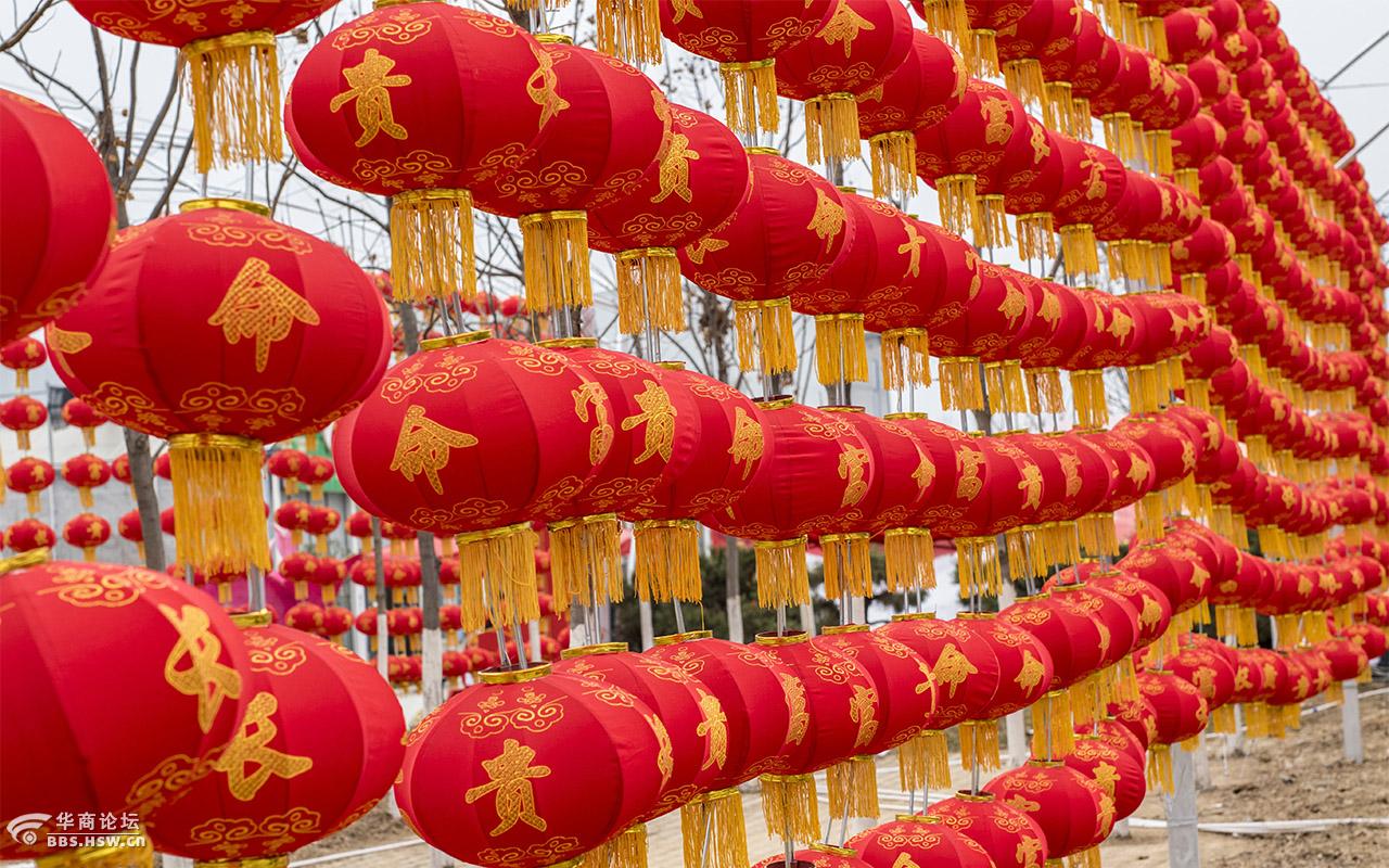 秦岭花世界随拍