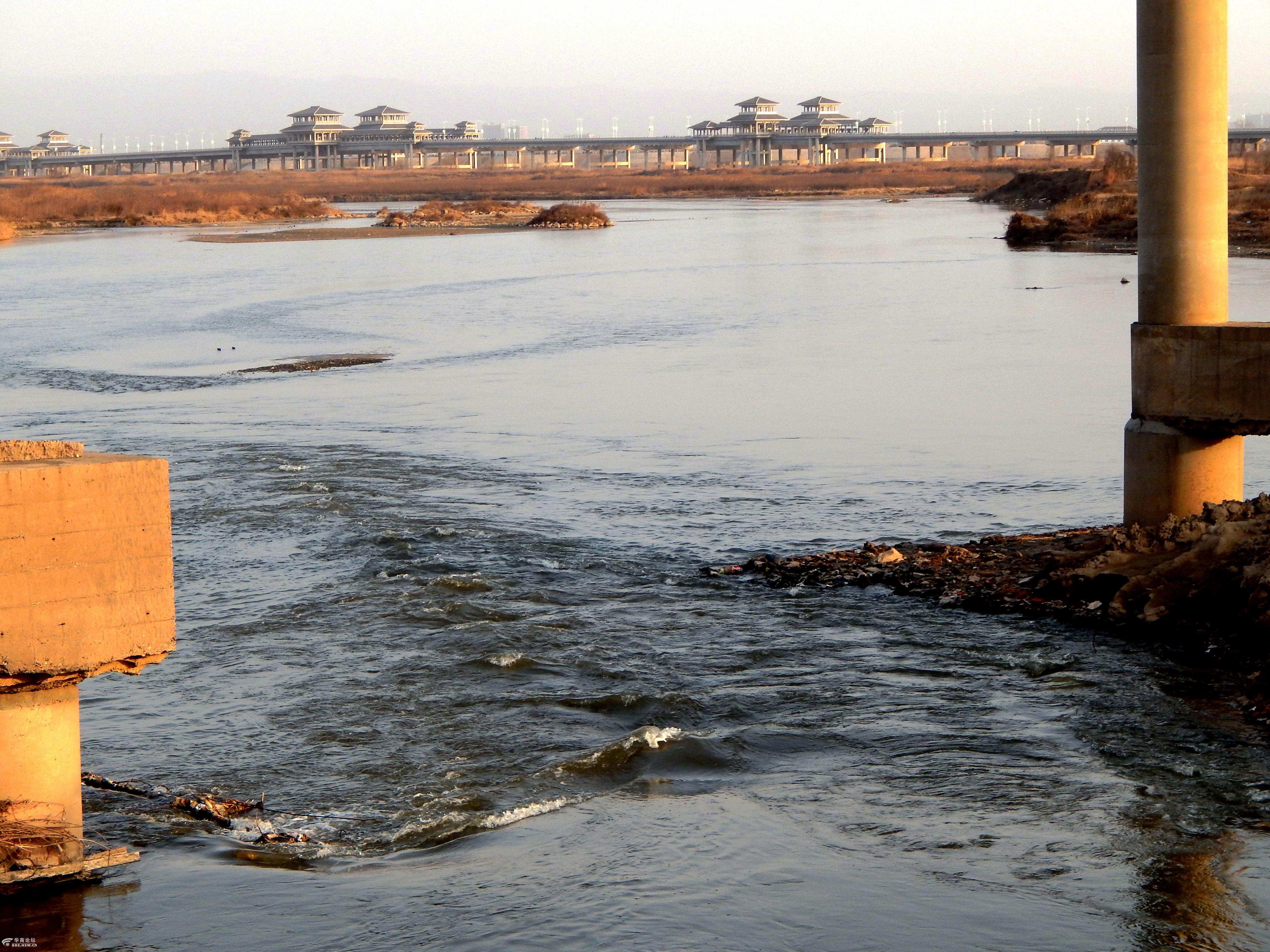 灞渭大桥渭河滩掠影