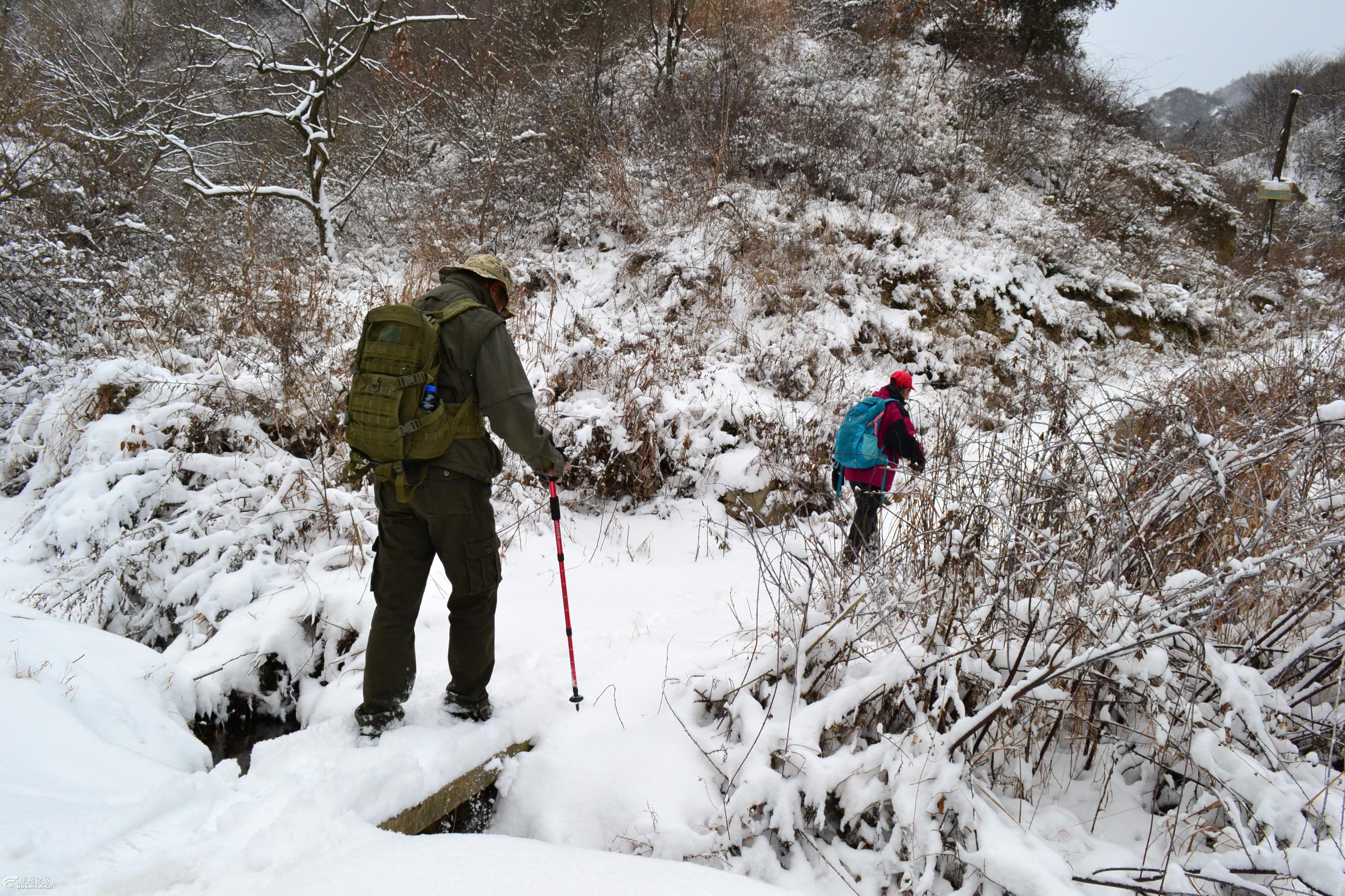年在旅途一日穿越六道梁喜赏秦岭舞春雪