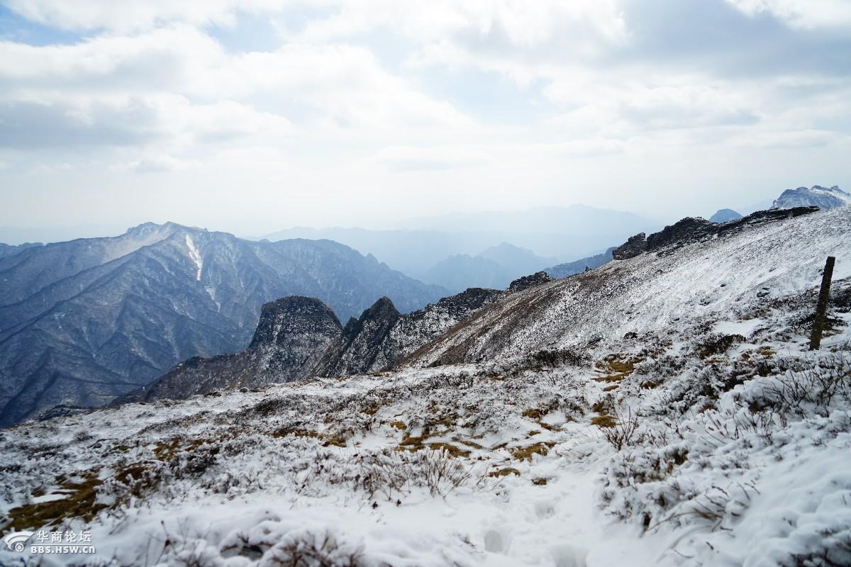 秦岭顶品白雪雾凇盛宴