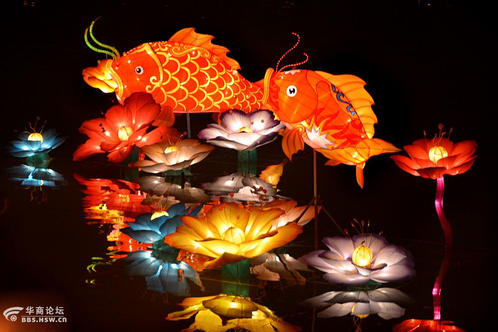 龙凤呈祥年年有鱼大唐芙蓉园观花灯展之二