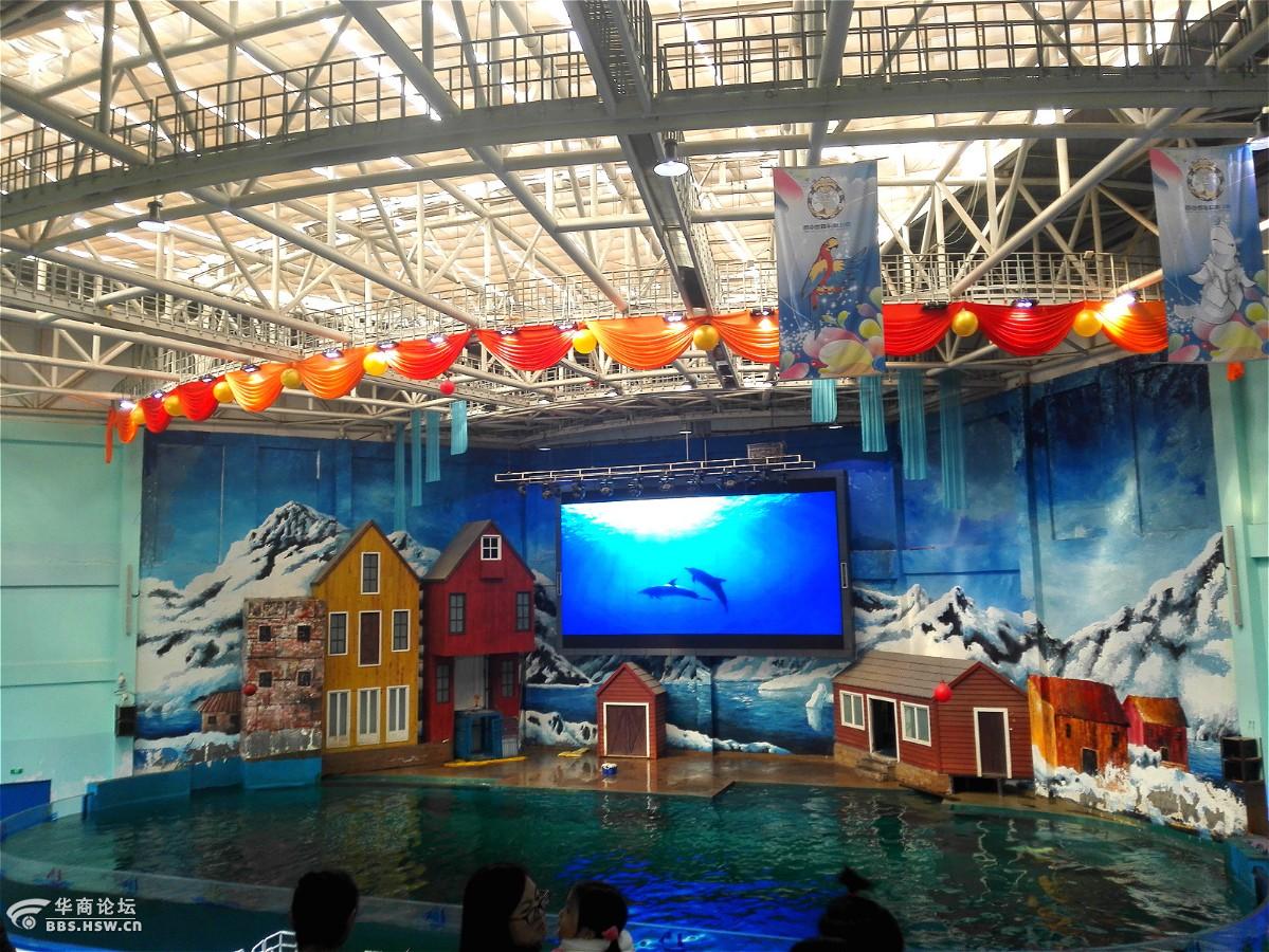 火爆的曲江海洋极地公园-咸阳论坛-华商论坛