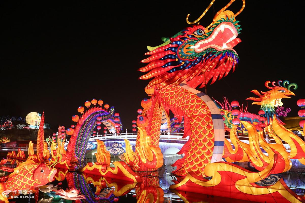 大唐芙蓉园龙灯真漂亮