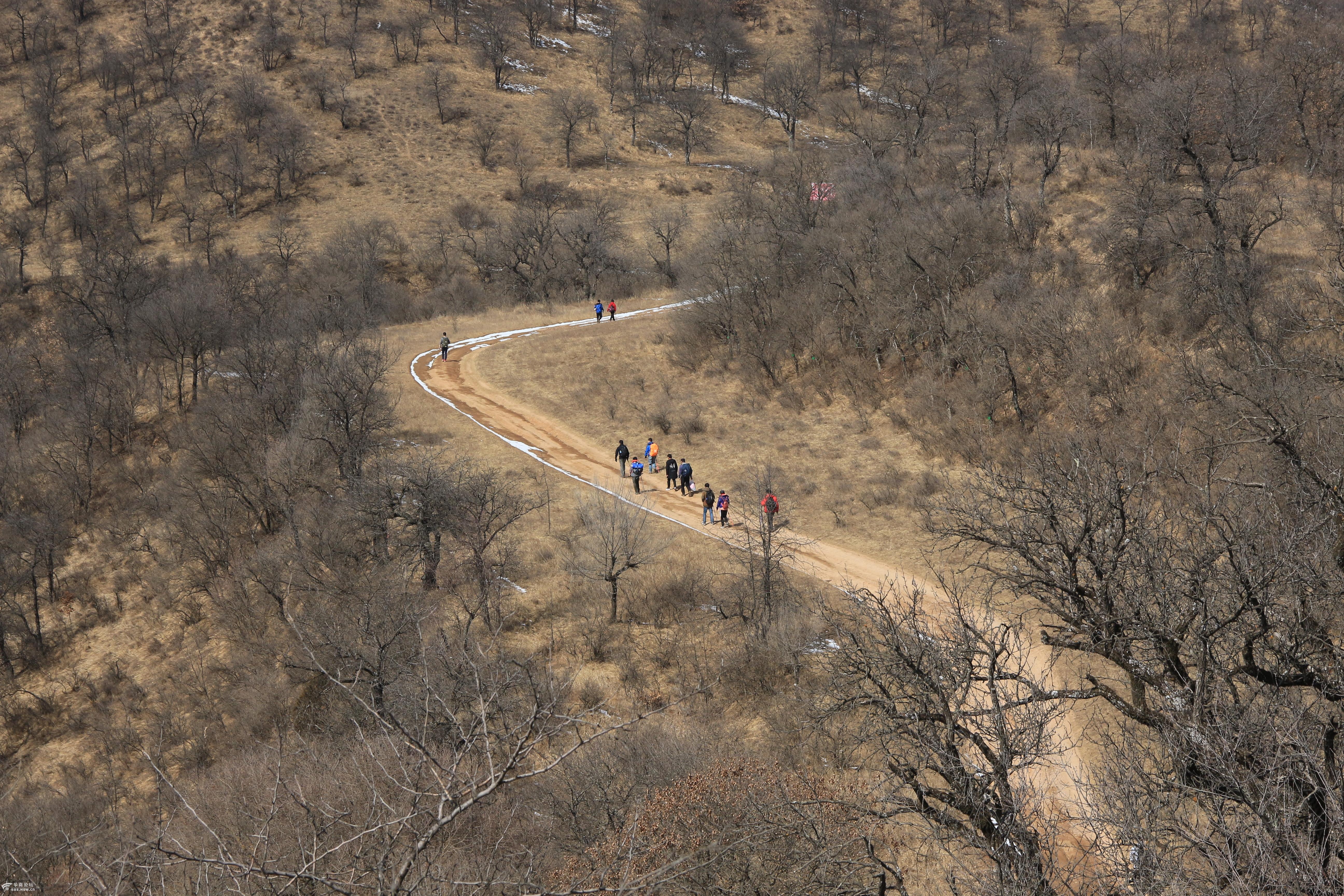 主题:徒步秦直道(富县) —— 千里通途,今雄姿犹在