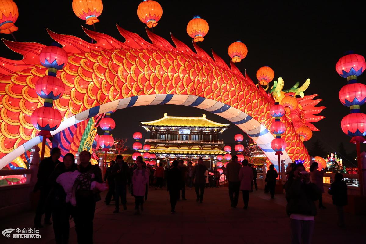 大唐芙蓉园龙灯真漂亮