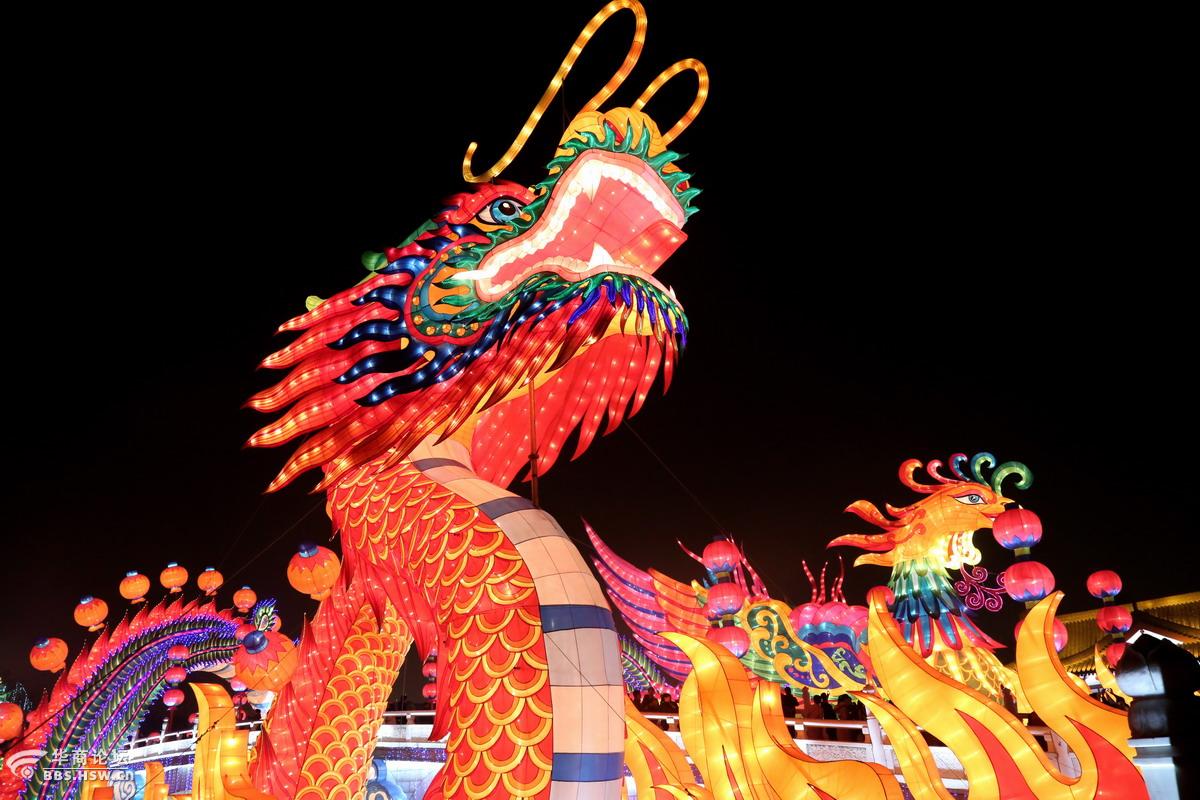 大唐芙蓉园龙灯真漂亮
