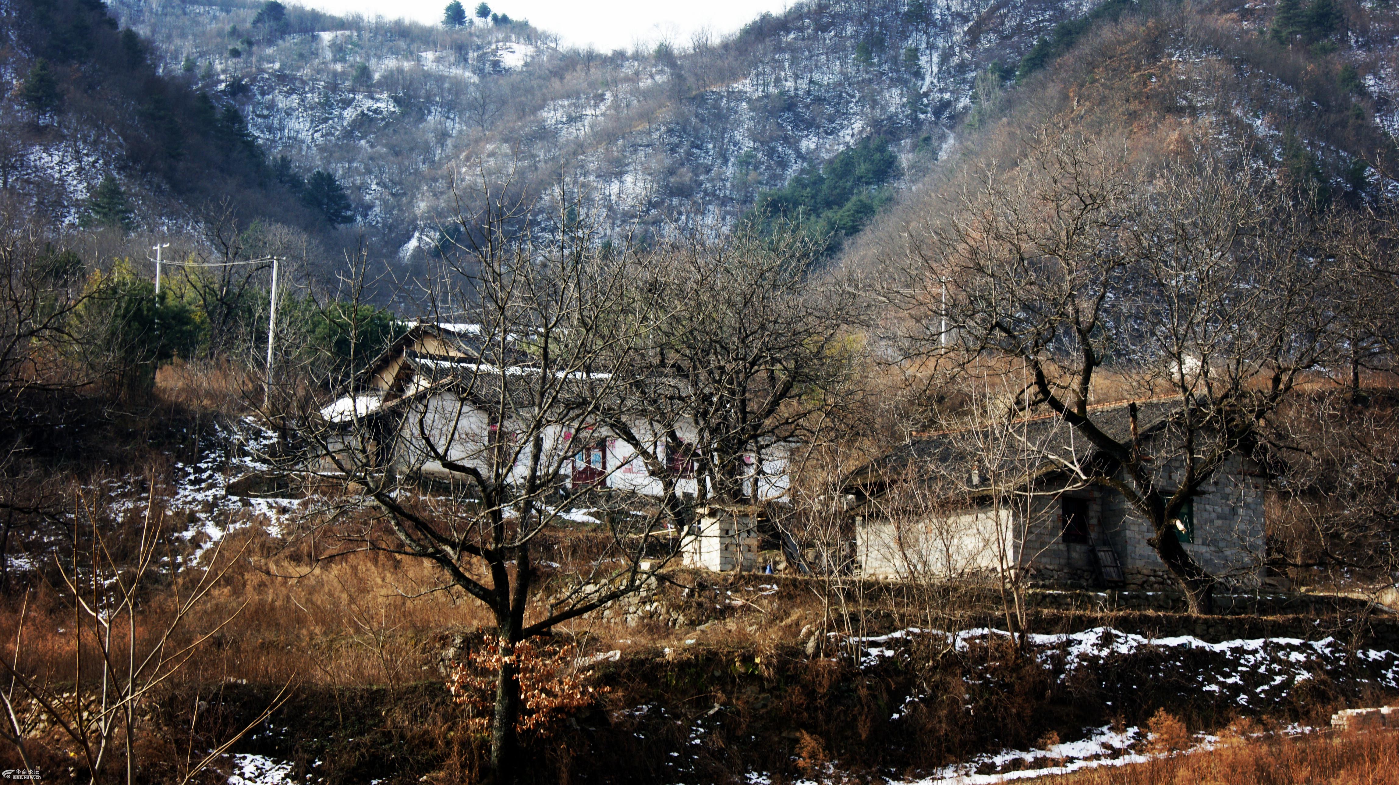 随行华商乡村游第3期探访秦岭深处的最美山村朱家湾走进柞水