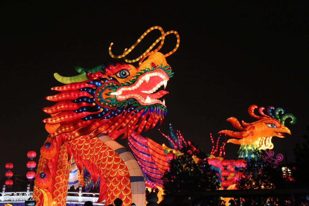 大唐芙蓉园龙灯真漂亮