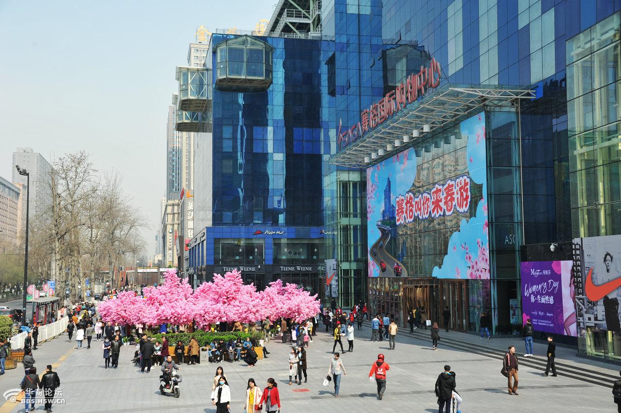 赛格叫你来春游