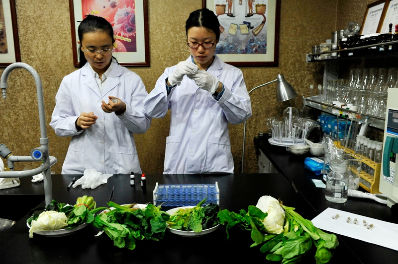 绿叶菜放冰箱会产生致癌物？ 实测：没这回事！