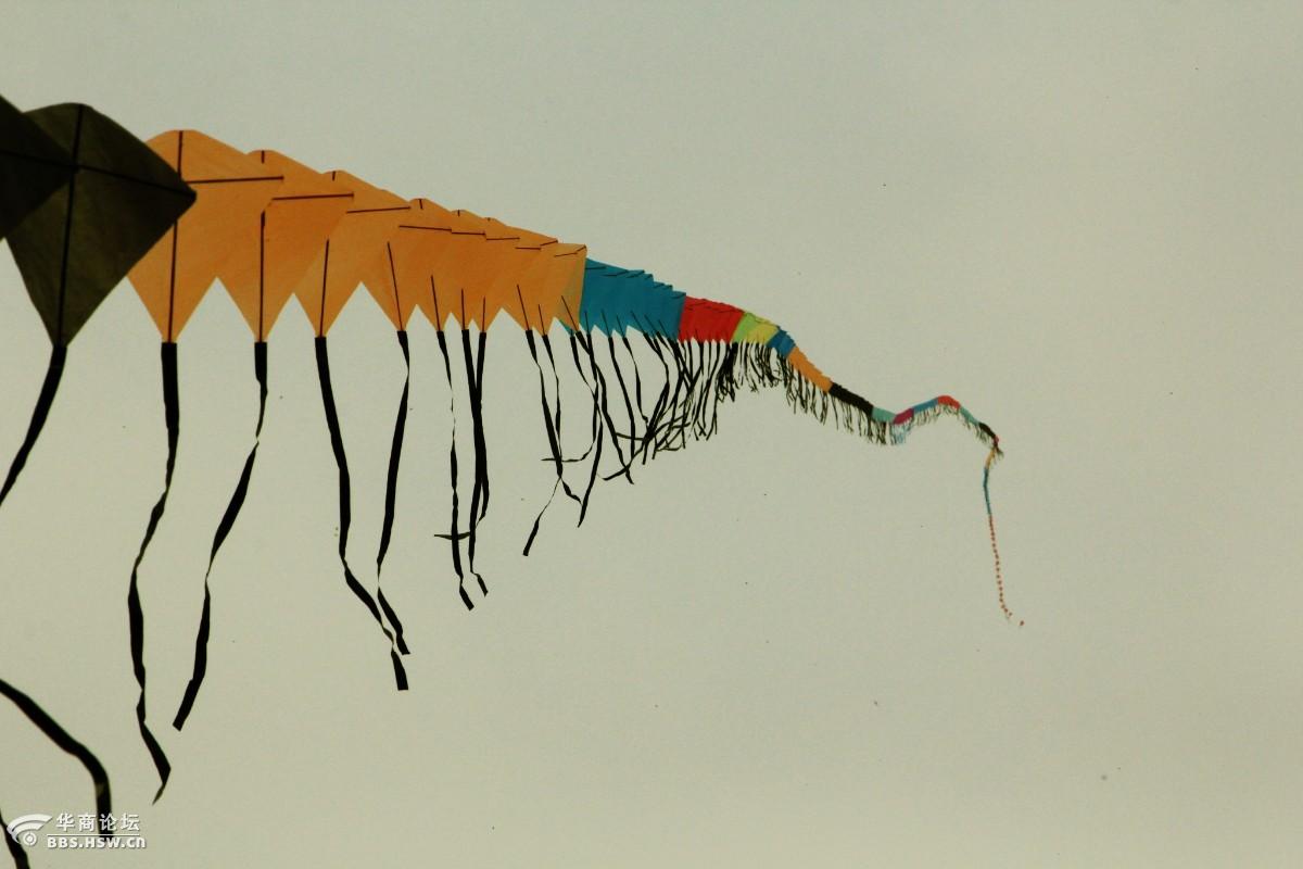 五百米长的风筝,你信不?我信了!