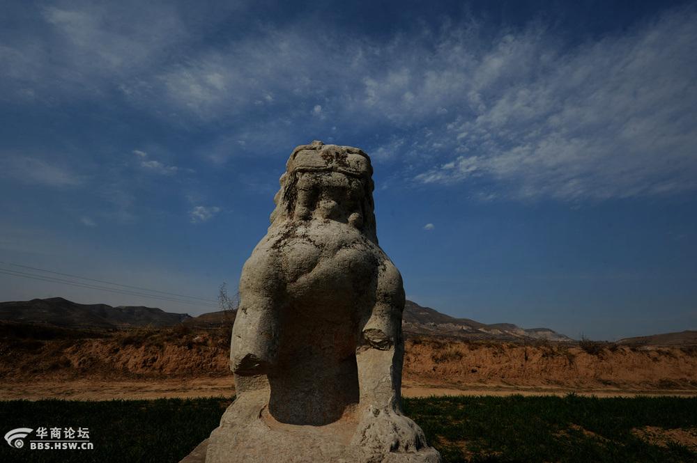 田野里的古代艺术唐光陵
