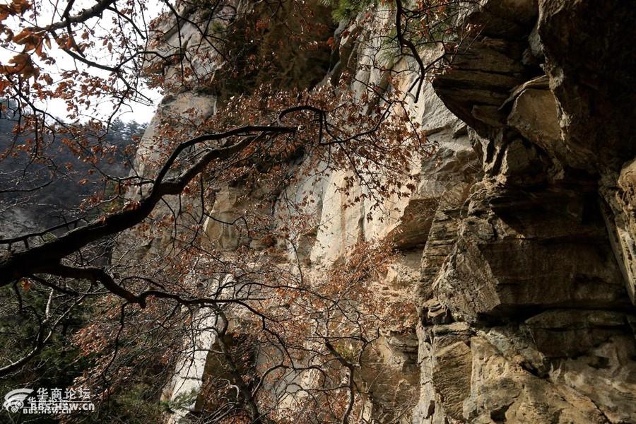 黑马户外3月25日周六潼关佛头崖休闲登高一日游