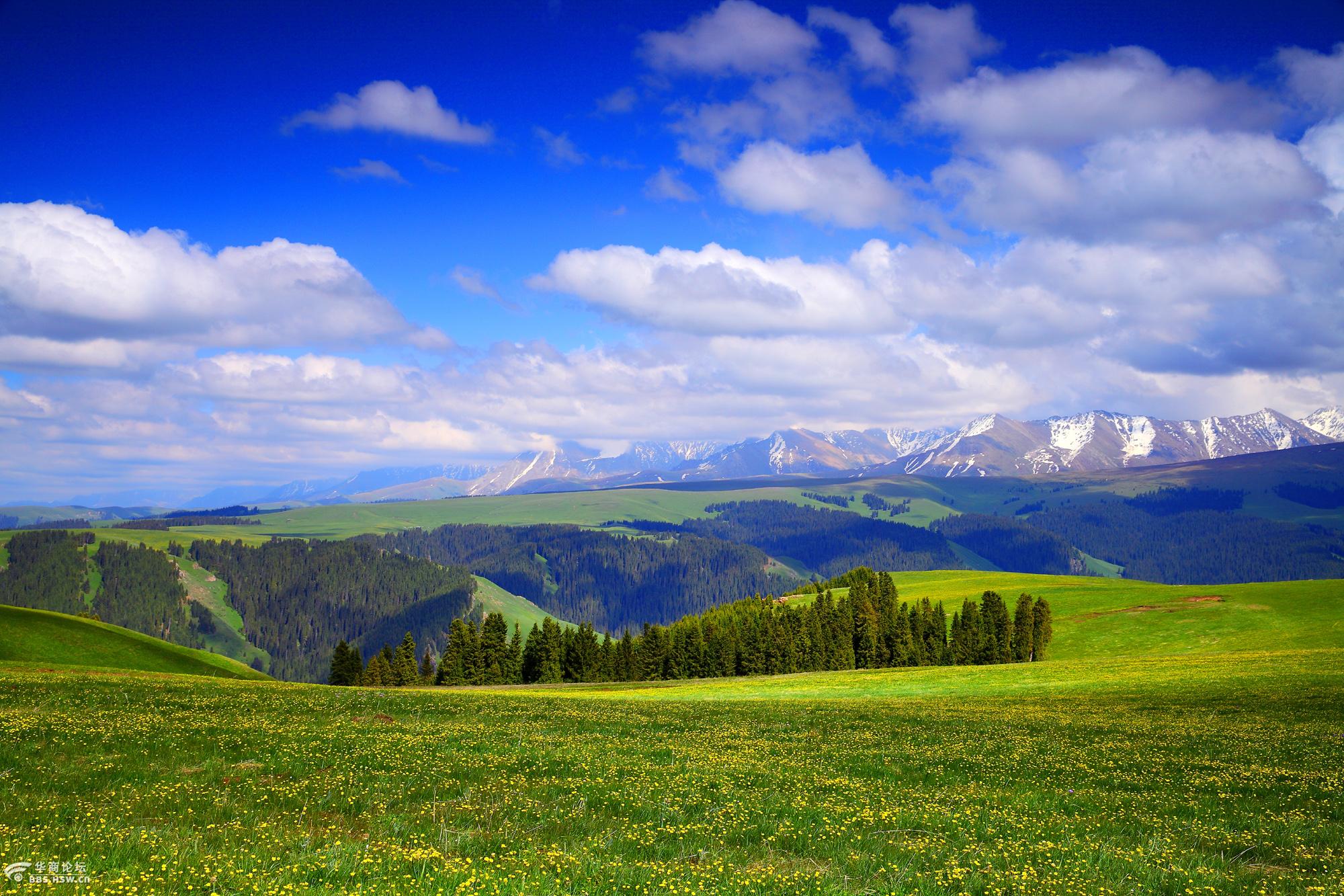世界自然遗产 库尔德宁 喀拉峻 琼库什台—徒步天山
