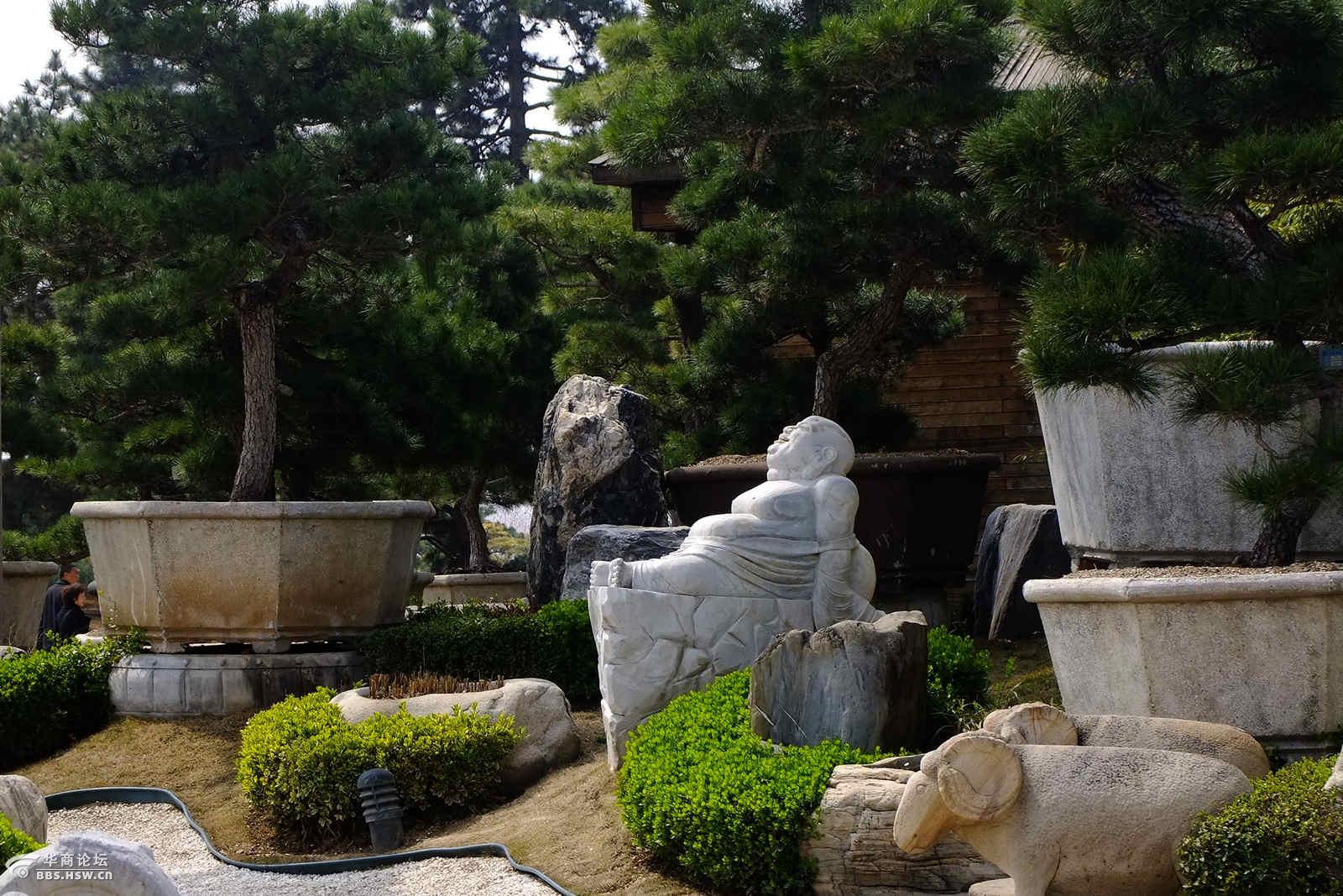 西安唐苑盆景之最