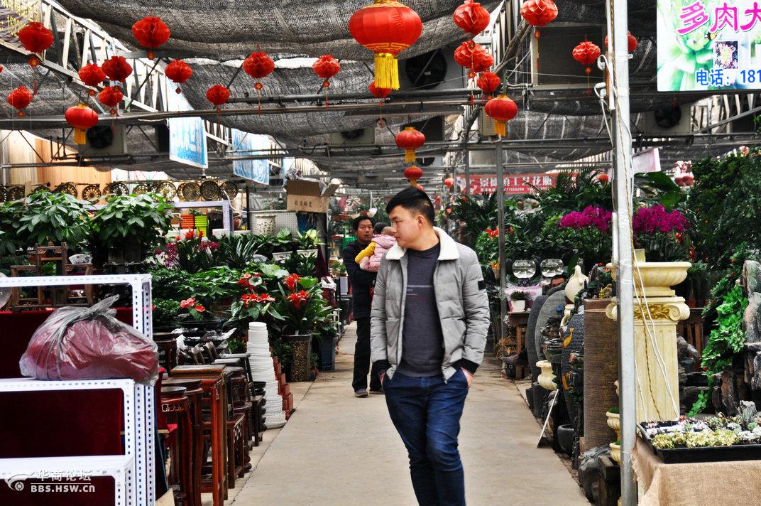 西安巨坤花卉中心