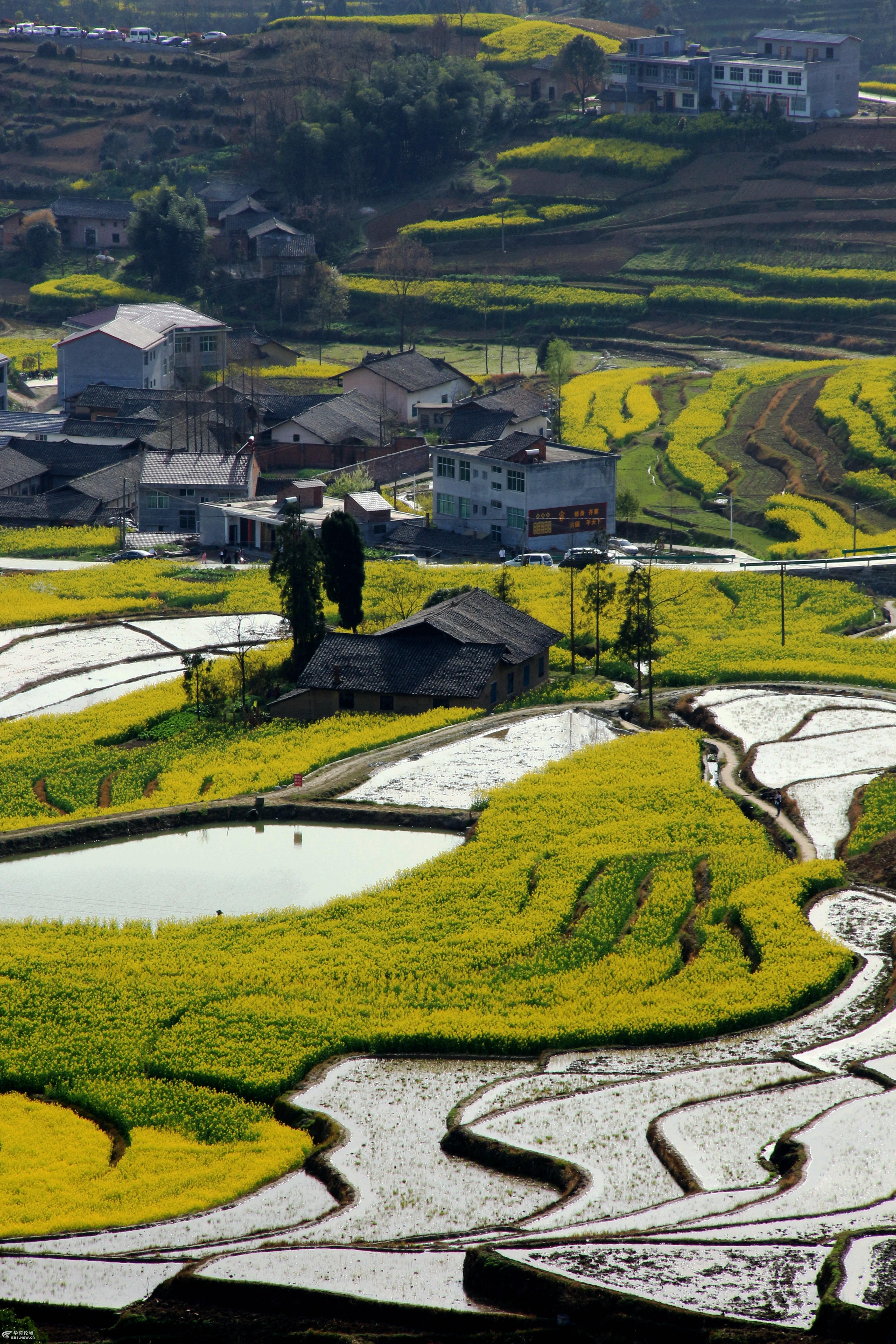 不负春光,汉阴凤堰古梯田随拍