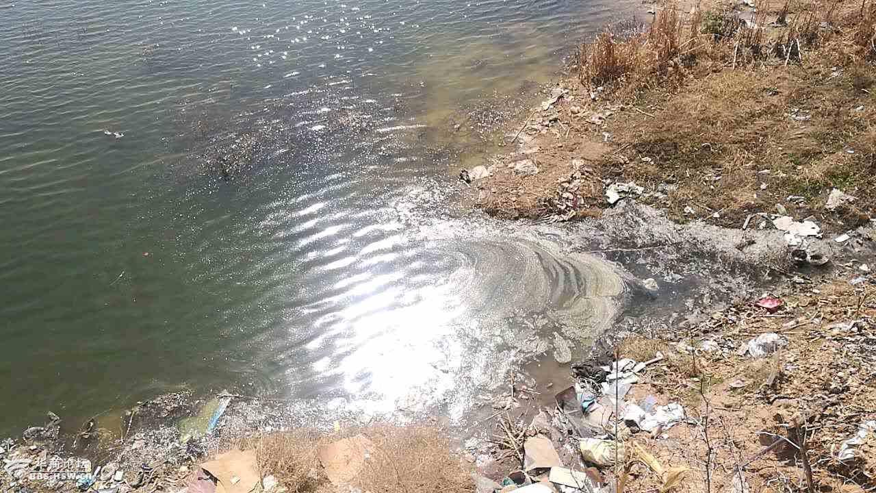 主题:三原西郊水库一养殖场污水直排.