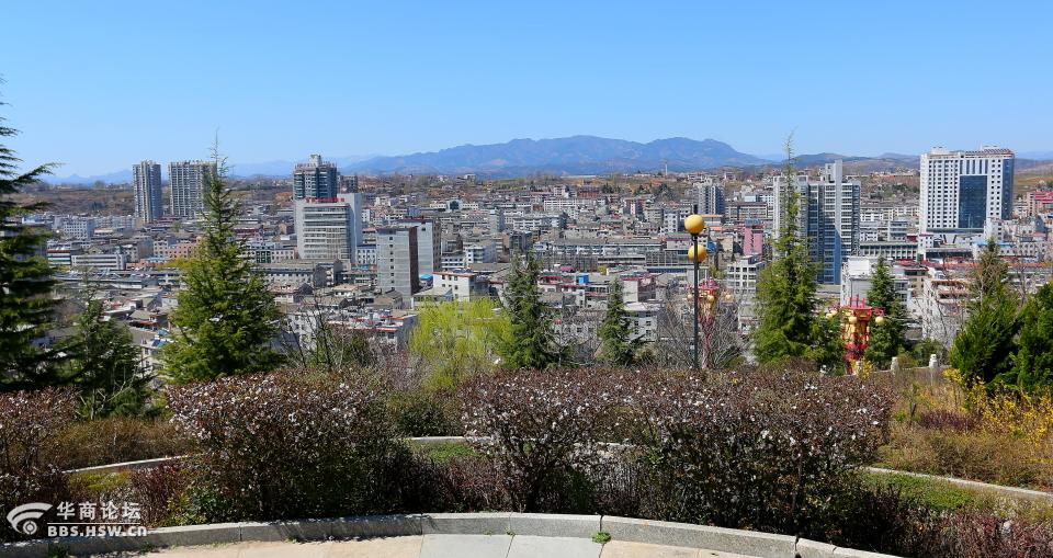 洛州尽展万千情不负三月好春光