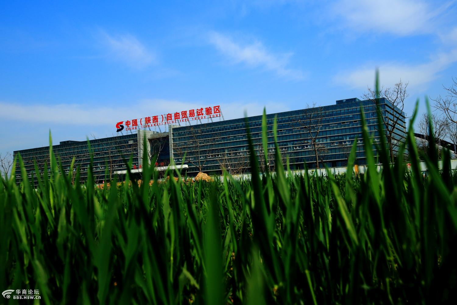 自由贸易区揭牌时候的空港新城