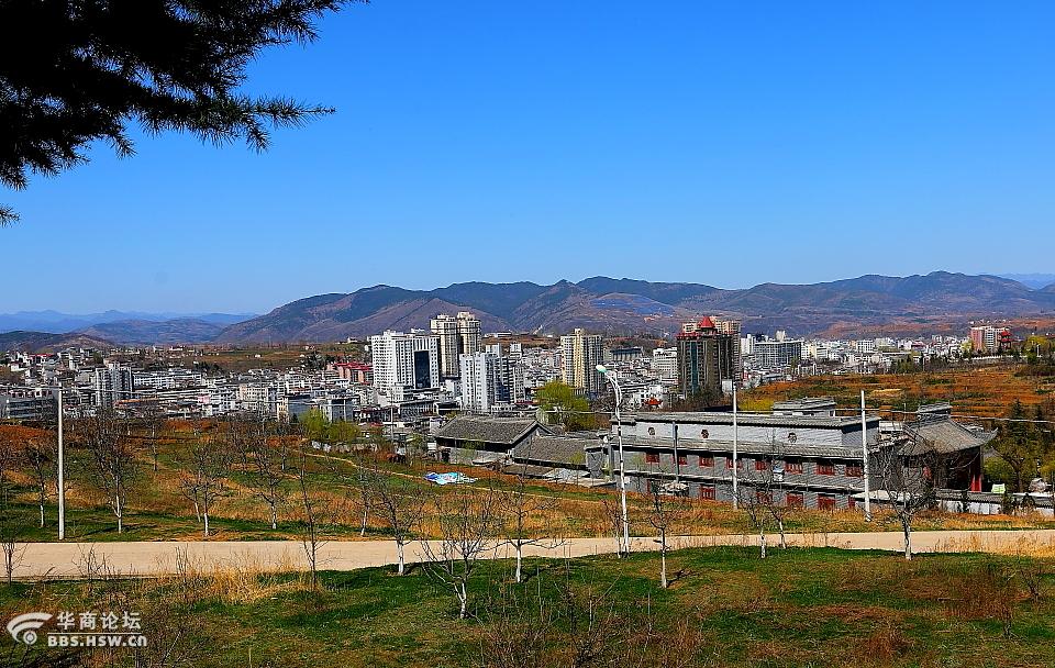 洛州尽展万千情不负三月好春光