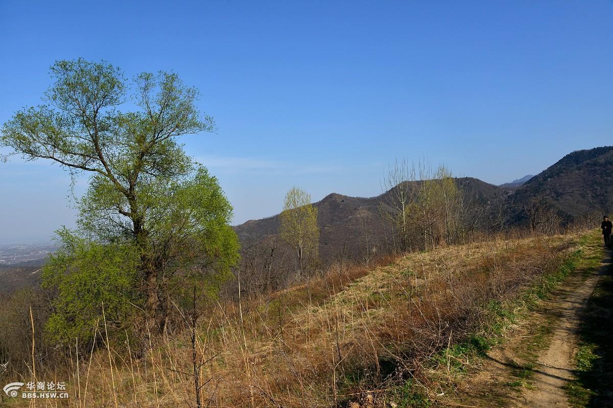 响泉村:一个消失的山村