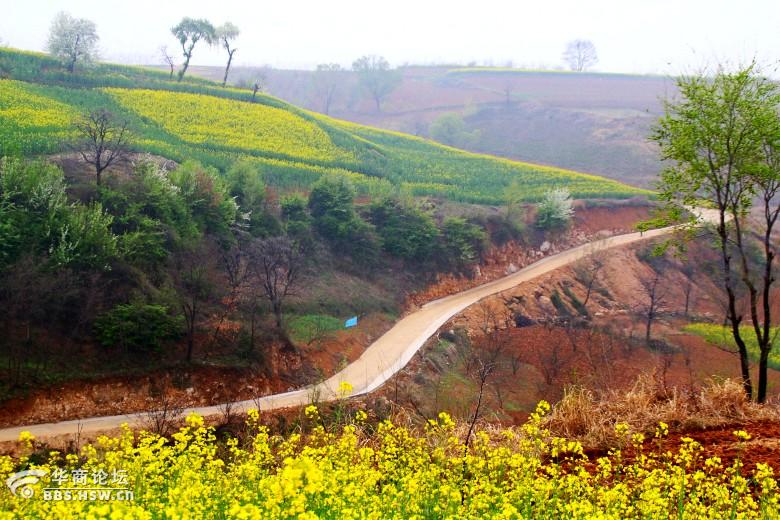 蓝田县九间房镇演绎醉美"桐花沟"美翻了