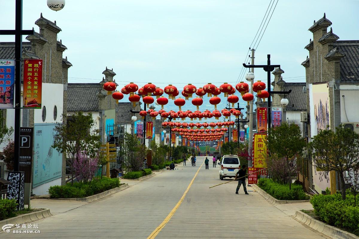 牡丹花开到蓝田簸箕掌赏牡丹花会