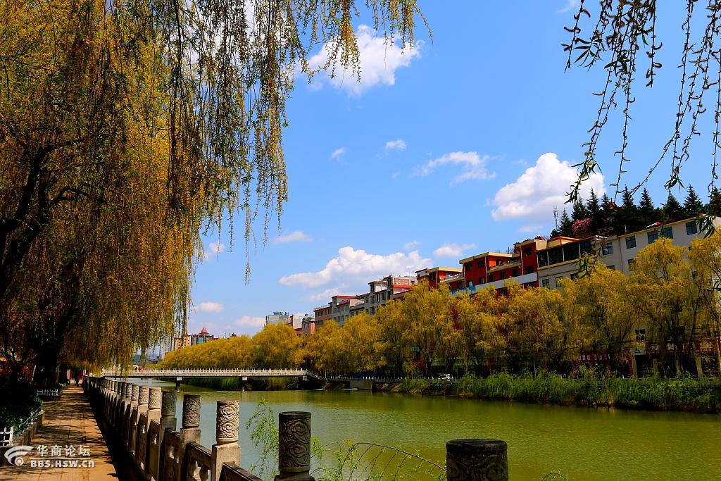 陕西论坛 商洛论坛 洛州春色 评分针对 楼主 于2017